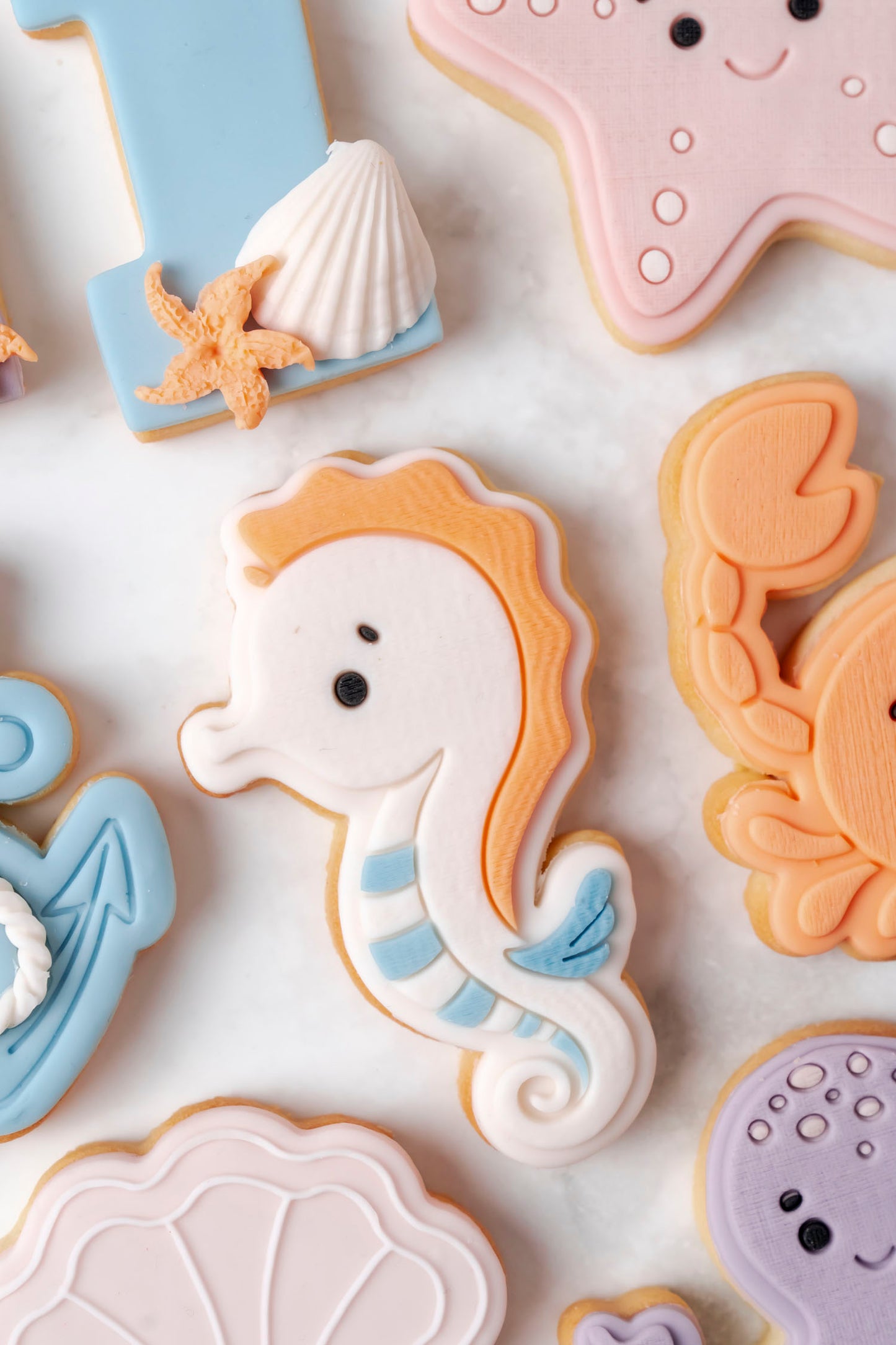 Set Animali del Mare