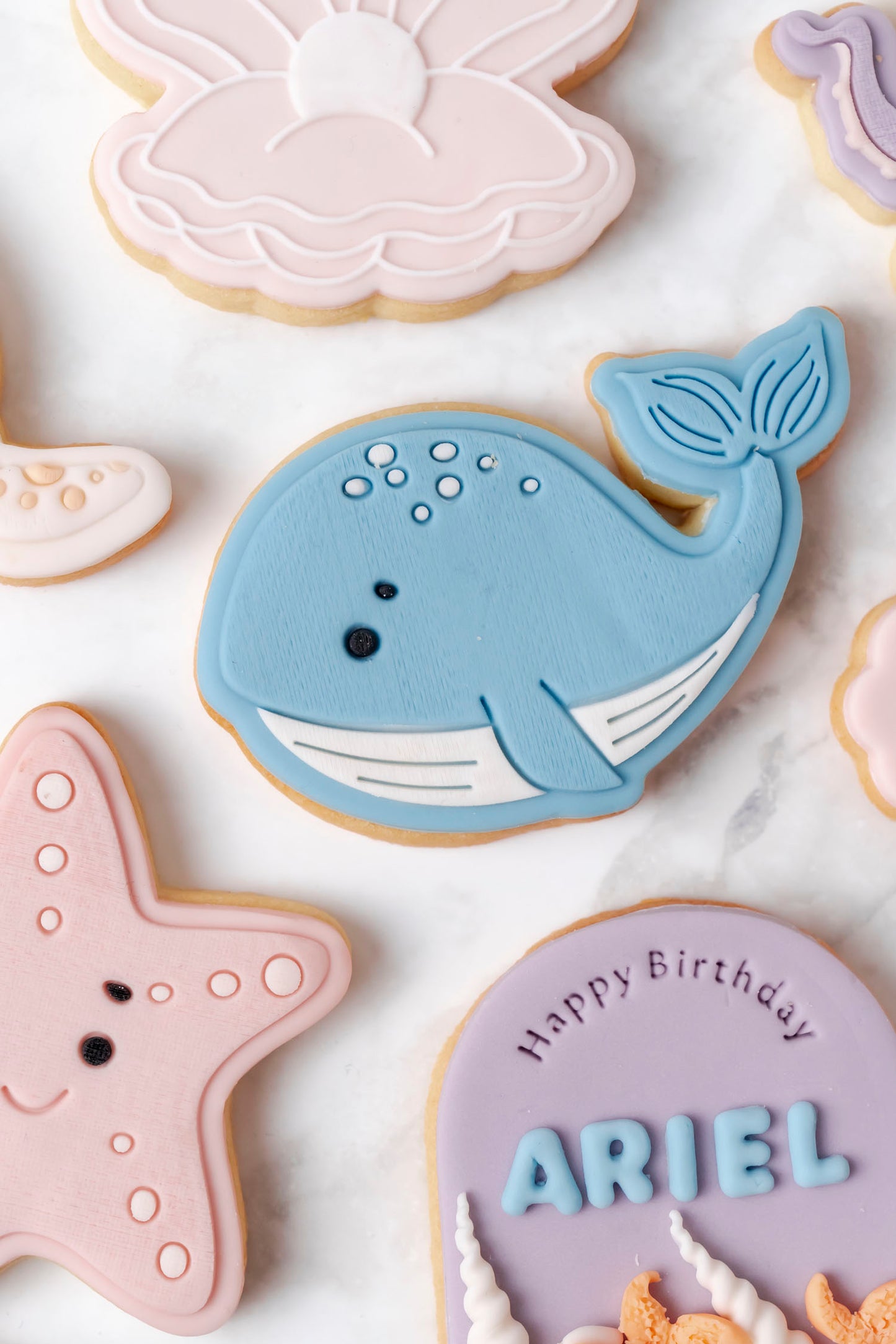 Set Animali del Mare