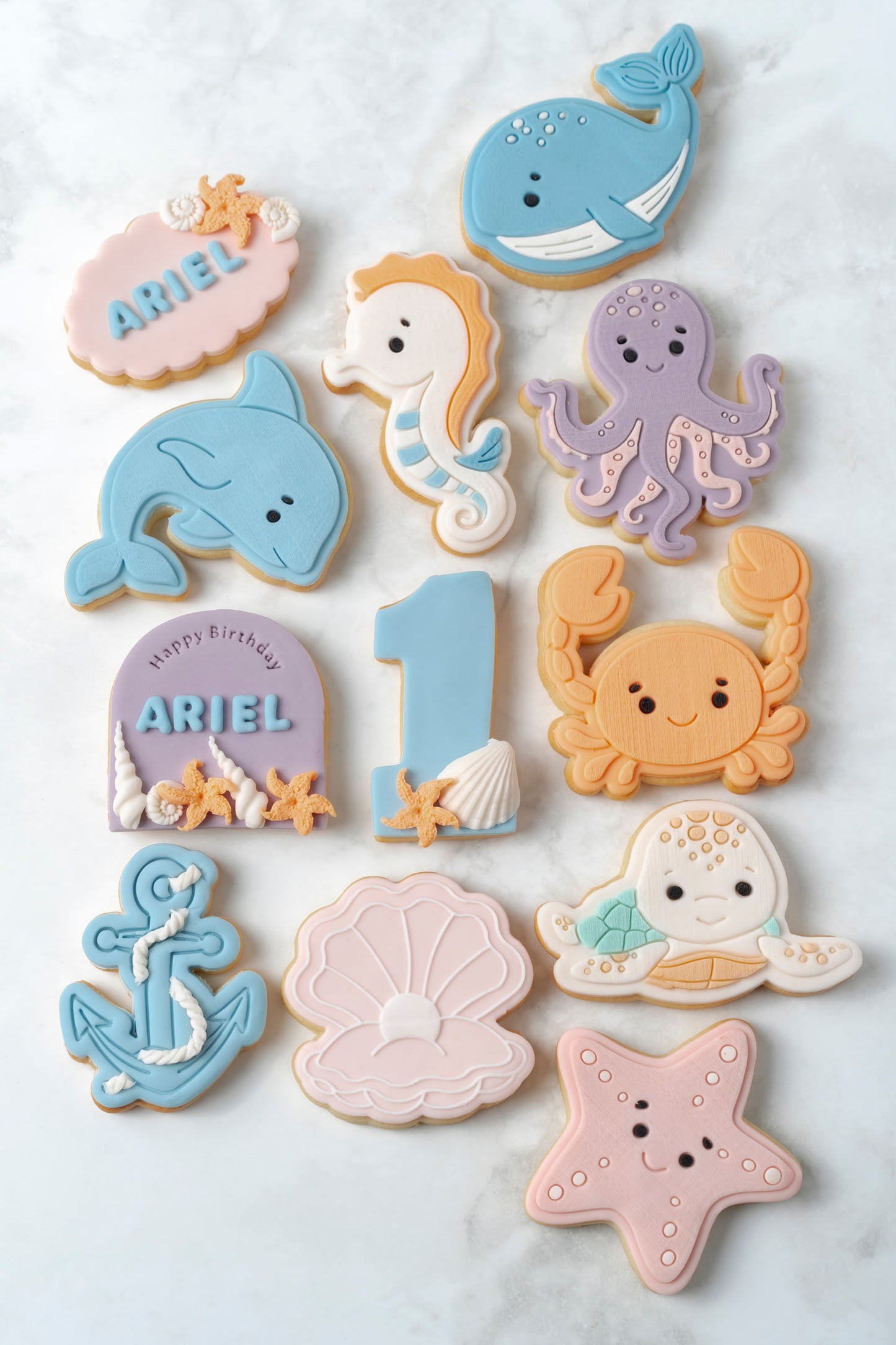 Set Animali del Mare