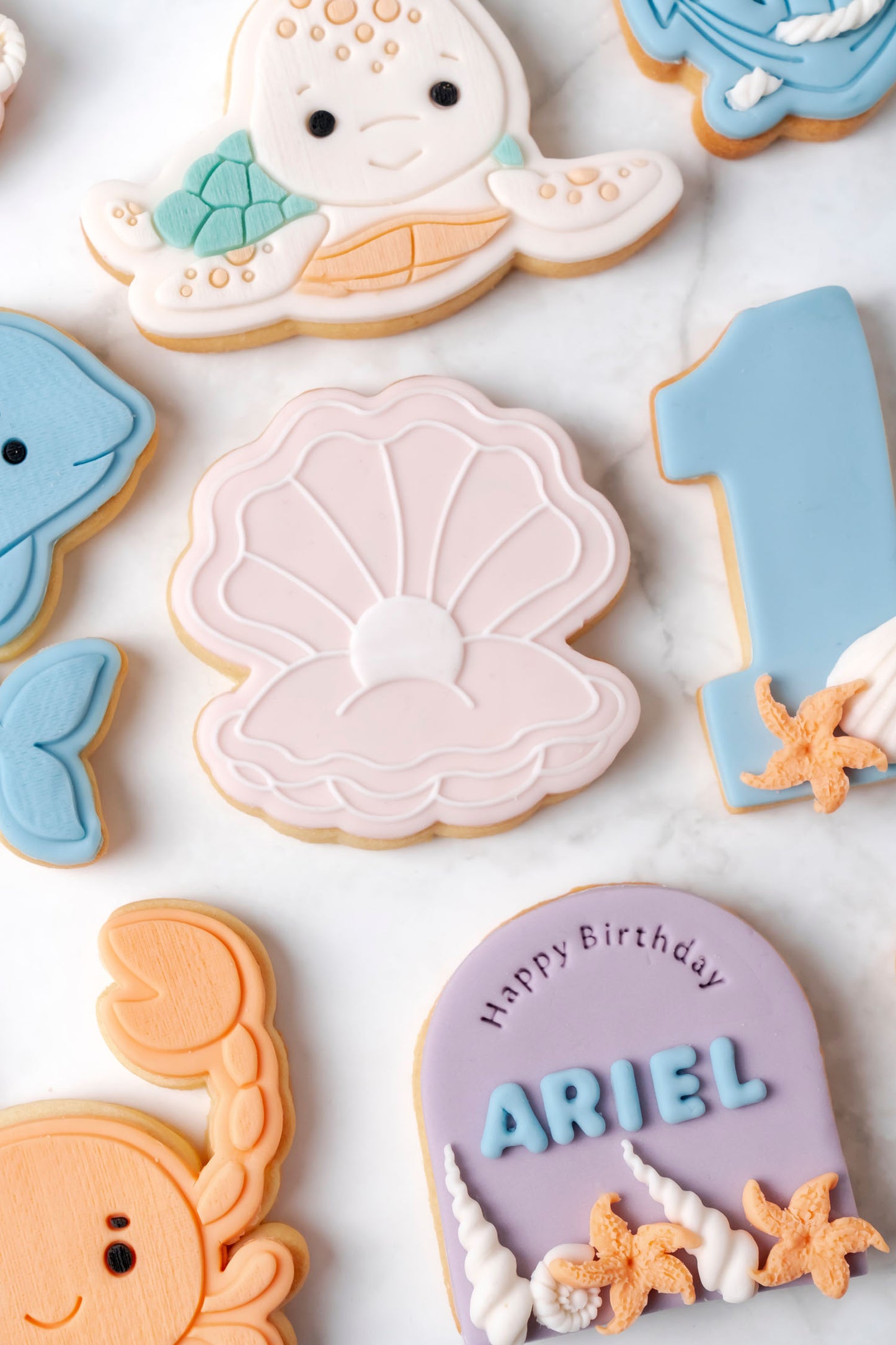 Set Animali del Mare