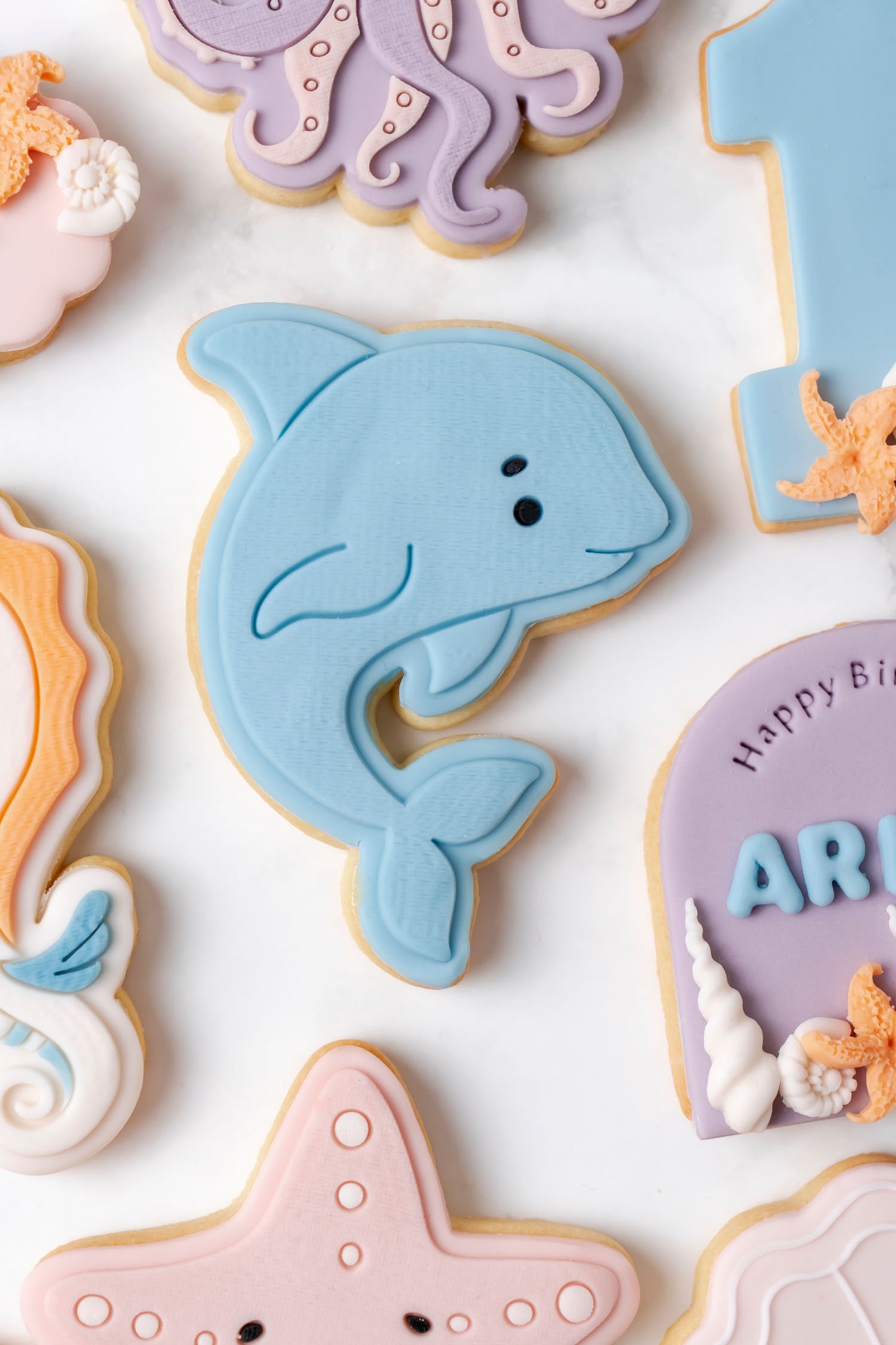 Set Animali del Mare