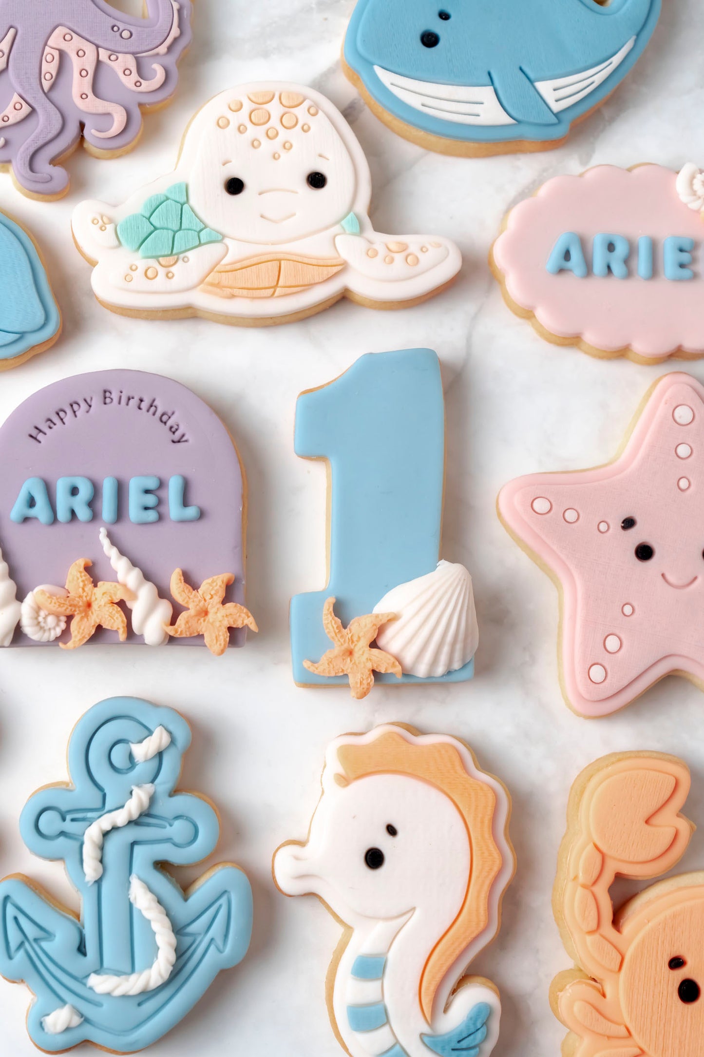 Set Animali del Mare